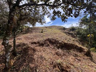 Se Vende Lote - Resindecial Bella Vista, Piedades Sur, San Ramón en Piedades Sur, San Ramón, Alajuela — 29 000 000 ₡ - Foto 5 de 8