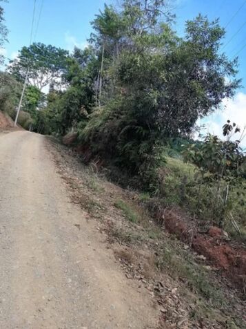 BELLA Y ÚTIL PROPIEDAD EN PUERTO CORTÉS, OSA.  en Puerto Cortés, Osa, Puntarenas — ₡ 75 000 000