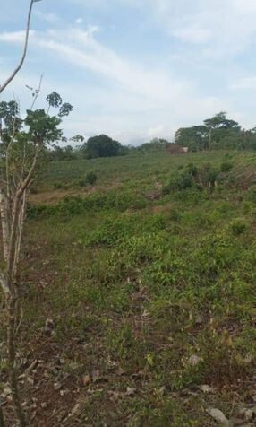 HERMOSA PROPIEDAD EN EL RECREO DE COLONIA PUNTARENAS DE UPALA en Upala, Alajuela — ₡ 32 000 000