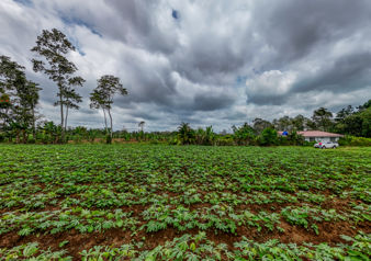 Se Vende Finca en SonaFluca, Fortuna de San Carlos en La Fortuna, San Carlos, Alajuela — 50 000 000 ₡ - Foto 5 de 16