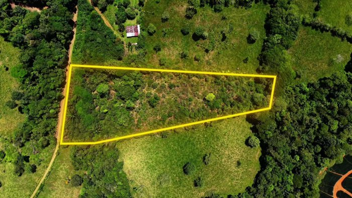 SE VENDE TERRENO LISTO PARA CONSTRUIR CON RIOS Y FINANCIAMIENTO EN SAN FRANCISCO DE CAJON en Cajón, Pérez Zeledón, San José — ₡ 60 000 000