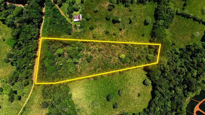 SE VENDE TERRENO LISTO PARA CONSTRUIR CON RIOS Y FINANCIAMIENTO EN SAN FRANCISCO DE CAJON en Cajón, Pérez Zeledón, San José — ₡ 60 000 000