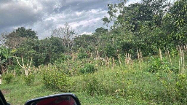 Terreno para construir en Palmares, Alajuela — ₡ 40 000 000
