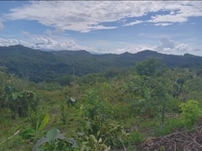 Finca con vista al mar y las montañas in Chires, Puriscal, San José — ₡ 93 000 000