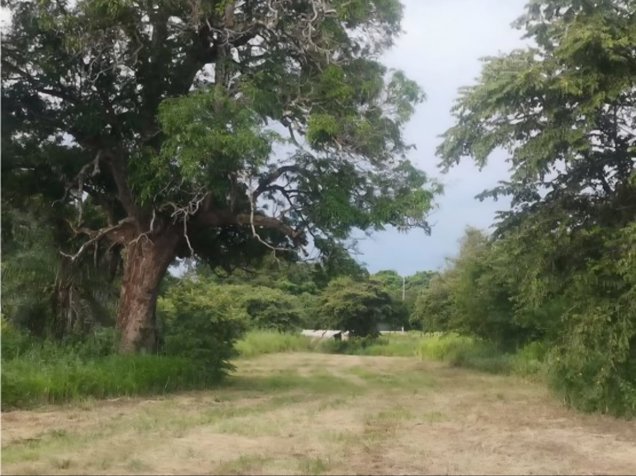 Finca en venta en Liberia, Guanacaste, Desarrollo, 5PVV9340535 en Liberia, Guanacaste — $1,989,191 - Foto 3 de 4