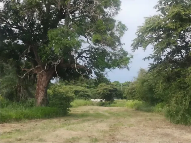 Finca en venta en Liberia, Guanacaste, Desarrollo, 5PVV9340535 en Liberia, Guanacaste — $1,989,191 - Foto 3 de 4