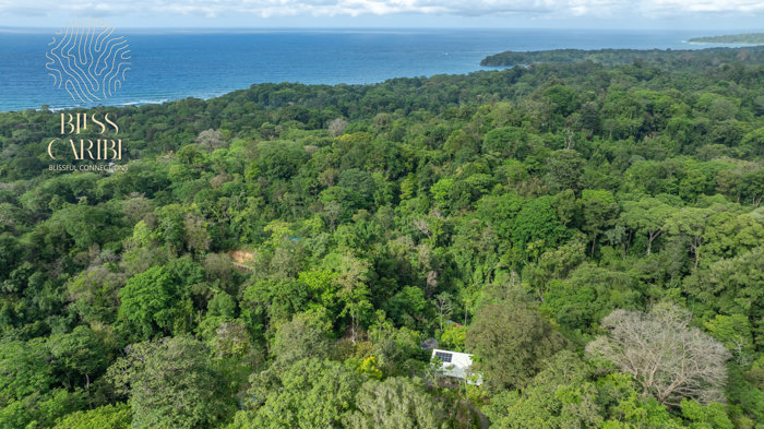 Modern Jungle Home for Sale in Puerto Viejo, Costa Rica en Cahuita, Talamanca, Limón — $495,000 - Foto 2 de 24