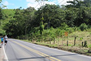 Venta Finca Cuidad Quesada San Carlos en Quesada, San Carlos, Alajuela — $2,500,000 - Foto 5 de 15