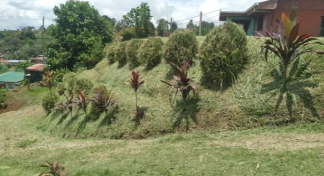 VENDO BELLÍSIMO LOTE EN CONCEPCIÓN DE SAN RAMÓN.  en Concepción, San Ramón, Alajuela — ₡ 18 000 000