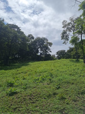 VENTA LOTE, GUANACASTE,BAGACES in Bagaces, Guanacaste — $186,000 - Photo 3 of 14