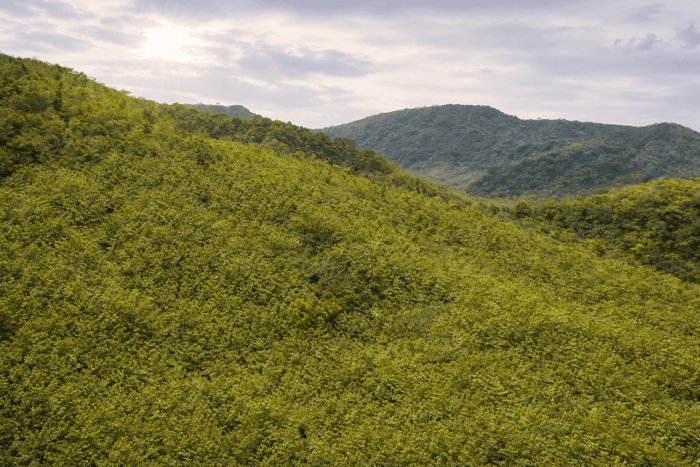 782 ha Finca - Camaronal, Santa Marta de Hojancha en Nosara, Nicoya, Guanacaste — $10,000,000 - Foto 3 de 15