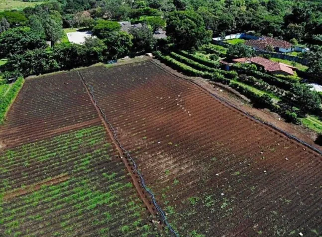 VENDO LOTE EN SAN RAFAEL DE ALAJUELA. USO DE SUELO MIXTO en San Rafael, Alajuela — $1,650,000