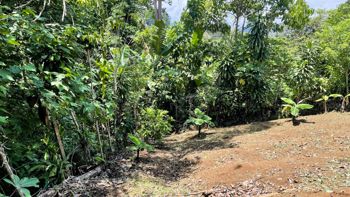 SE VENDE LOTE EN ZARAGOZA, PALMARES in Zaragoza, Palmares, Alajuela — $82,000 - Photo 5 of 10