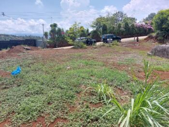 SE VENDE PRECIOSO LOTE EN SAN RAMÓN.  en San Isidro, San Ramón, Alajuela — 45 000 000 ₡ - Foto 4 de 5