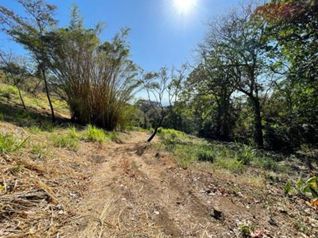 Finca en funcionamiento de 38.334m2 con casa y cuadras in Atenas, Alajuela — $545,000 - Photo 4 of 17