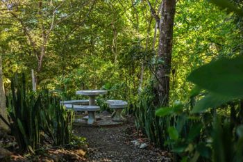 Hotel en Puerto Carrillo - Gran Oportunidad in Puerto Carrillo, Hojancha, Guanacaste — $999,000 - Photo 5 of 40
