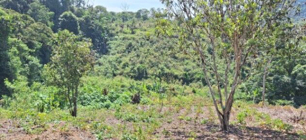 Propiedad el La  Manchuria  in Limoncito, Coto Brus, Puntarenas — $30,000