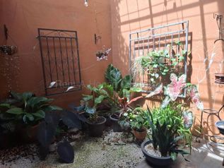 Venta de Casa en Guadalupe-Mata de Plátano. RAH 27-482 en Mata de Plátano, Goicoechea, San José — $194,000 - Foto 5 de 13