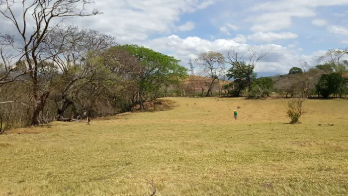 Venta lote en Alajuela, Turrucares - Ata densidad para desarrollo en Turrúcares, Alajuela — $1,422,480 - Foto 2 de 15
