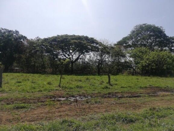 Se vende amplio terreno de 36,5 hectáreas en Nosara Guanacaste 23-2211 in Nosara, Nicoya, Guanacaste — $7,307,900