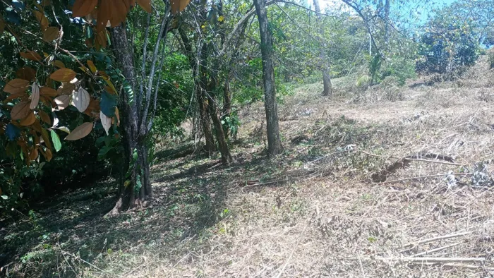 SE VENDE LOTE, QUINTAS PRIVADAS, SAN PEDRO DE TURRUBARES, SAN JOSE en San Pedro, Turrubares, San José — ₡ 29 950 000 - Foto 3 de 10