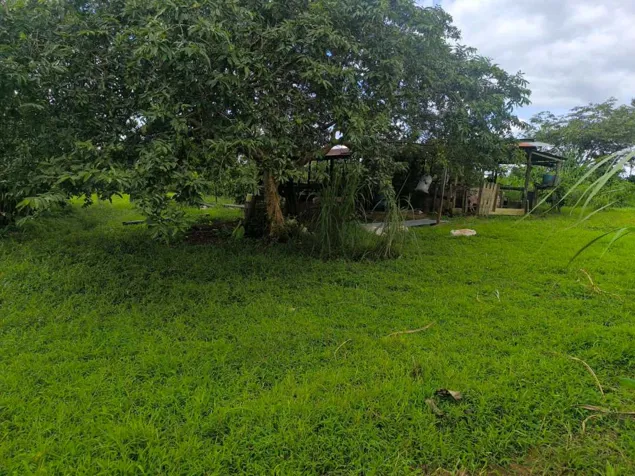 Hermosa Finca en San Ramón de La Virgen de Sarapiquí in La Virgen, Sarapiquí, Heredia — ₡ 90 000 000