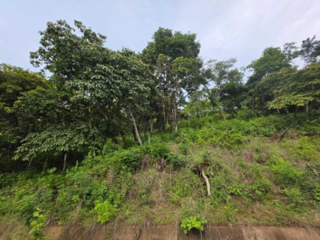 Venta de Lote en Santa Cruz de Guanacaste. RAH 26-559 in Tempate, Santa Cruz, Guanacaste — $240,000