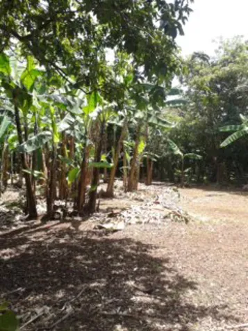 San Juan, calle Obando en San Juan, La Unión, Cartago — ₡ 140 000 000 - Foto 3 de 6