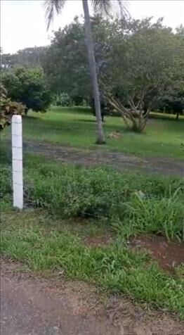 EXCLUSIVA PROPIEDAD EN EL CENTRO DE LA GARITA.  en Garita, Alajuela — ₡ 85 000 000