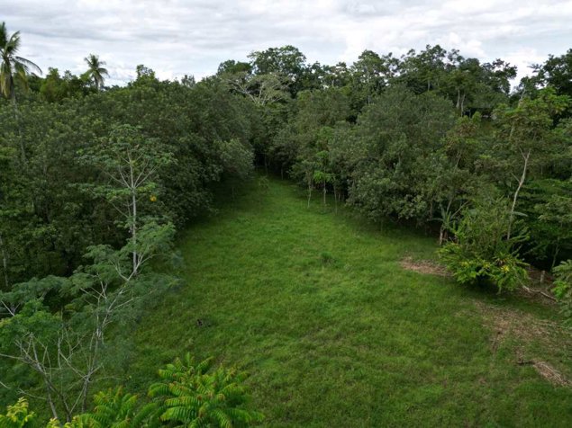 Propiedad de 5,000 m2 en Platanar de SanCarlos en La Fortuna, San Carlos, Alajuela — $100,000 - Foto 2 de 4