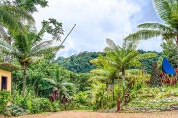 Casa en Venta Bahía Ballena, Osa, Puntarenas