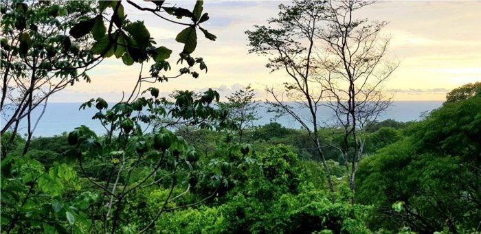 Hermoso terreno en Playa Hermosa de Cobano con gran vista al Océano en Cóbano, Puntarenas — $5,250,000 - Foto 3 de 46
