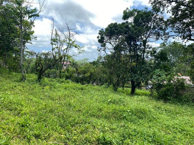 Venta de quinta en Peje Viejo, Florencia. San Carlos. en Florencia, San Carlos, Alajuela — ₡ 90 000 000 - Foto 3 de 13