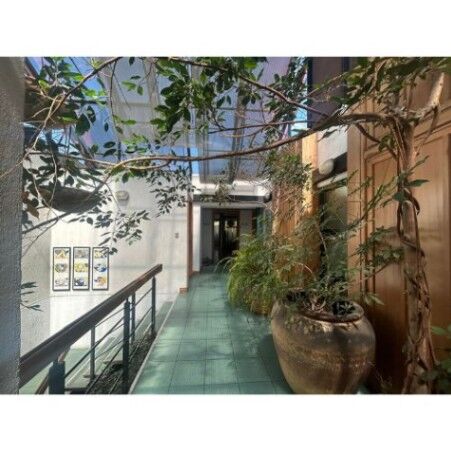 ALQUILER DE OFICINA EN EDIFICIO GREEN, SAN JOSE, PASEO COLÓN   in Carmen, San José — $700