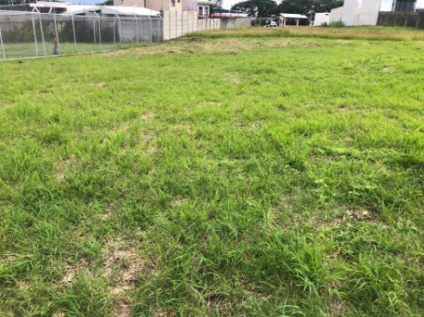 SE VENDE BELLÍSIMA PROPIEDAD EN SAN ISIDRO DE HEREDIA.  en Mata de Plátano, Goicoechea, San José — ₡ 110 000 000