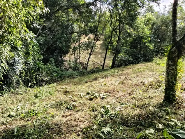 Lote de oportunidad 1654m2 en San Isidro De El General, Pérez Zeledón, San José — ₡ 35 000 000 - Foto 3 de 12