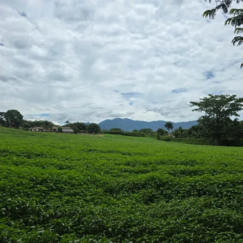 VENDO LOTE EN SAN RAFAEL DE ALAJUELA. USO DE SUELO MIXTO en San Rafael, Alajuela — $1,650,000 - Foto 2 de 8