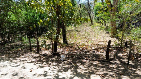 Lote en venta en Guanacaste cerca de Playa Panamá – 1.180 m² listo para construir en Sardinal, Carrillo, Guanacaste — $63,000