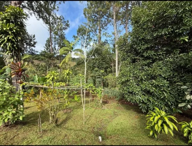 SE VENDE BELLA PROPIEDAD Y CASA EN AGUA BUENA, COTO BRUS. en Aguabuena, Coto Brus, Puntarenas — ₡ 54 900 000
