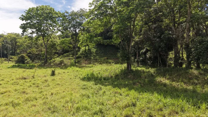 SE VENDE FINCA CON QUEBRADA NATURAL Y FACIL ACCESO EN SAN FRANCISCO DE RIVAS in Rivas, Pérez Zeledón, San José — $650,000 - Photo 2 of 6