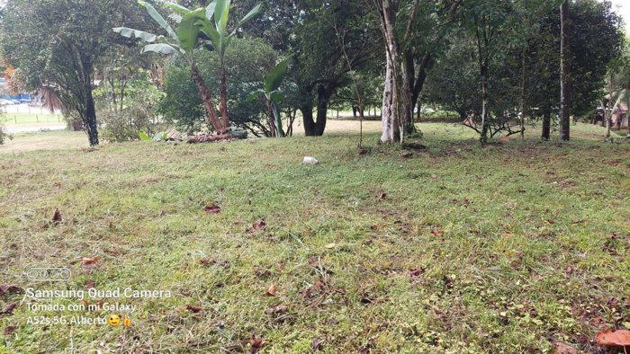 VENTA DE FINCA, PUNTARENAS, GOLFITO in Golfito, Puntarenas — $320,000
