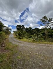 Finca a la venta en Bella Vista en Guapiles. en Guápiles, Pococí, Limón — 300 095 000 ₡ - Foto 4 de 8