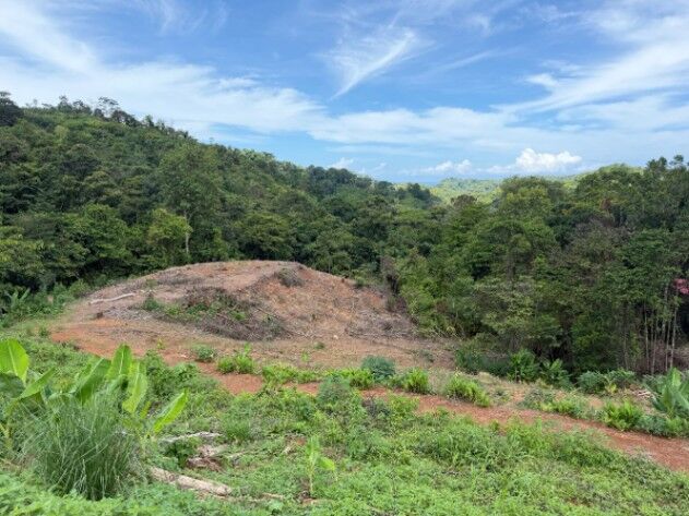 TERRENO DE 9.494 M2 CON 3 PLANTELES Y VISTA AL MAR EN VERGEL DE OSA en Puerto Cortés, Osa, Puntarenas — $530,000