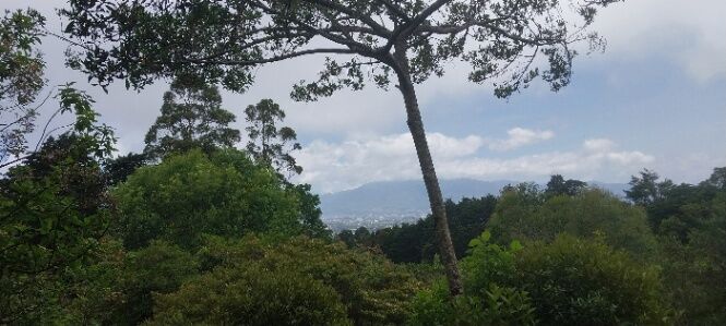 Finca con vistas, Concepcion de San Isidro de Heredia 22,480 mtrs2 in Concepción, San Isidro, Heredia — $1,850,000