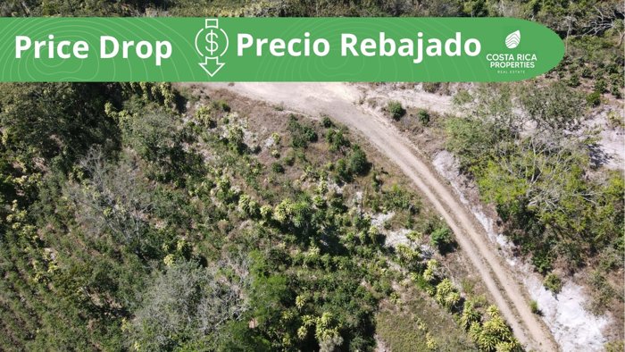 Lotes en venta en San Ramón, con vistas al Océano, clima fresco en Santiago, San Ramón, Alajuela — $70,000