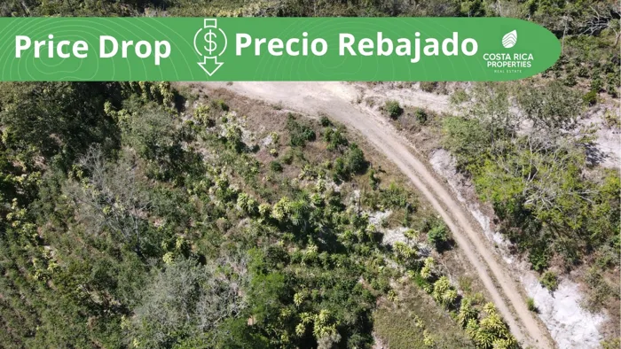 Lotes en venta en San Ramón, con vistas al Océano, clima fresco en Santiago, San Ramón, Alajuela — $70,000