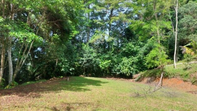 VENTA DE FINCA DE 1 HA EN PLATANILLO CON VISTAS A LA MONTAÑA Y 2 PLANTELES LISTOS en Barú, Pérez Zeledón, San José — $150,000