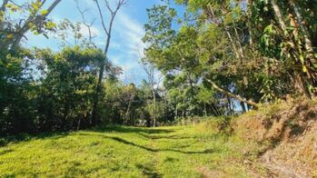 Finca en Venta Cajón, Pérez Zeledón, San José