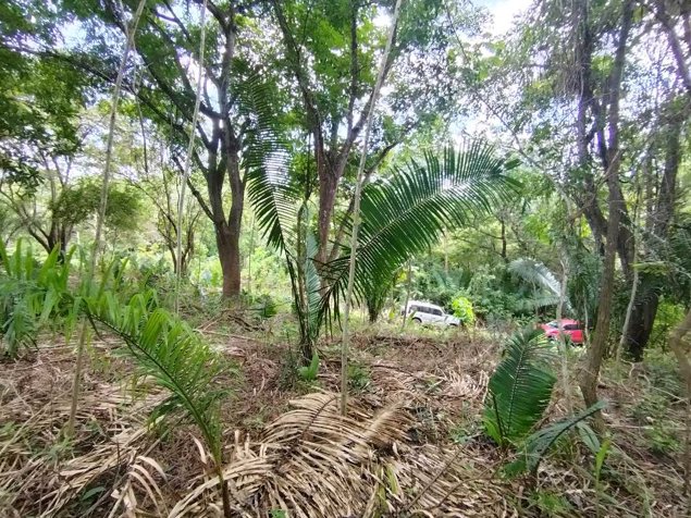 Lotes 49 y 50 en Ruta del Sol, precio de oportunidad en Cuajiniquil, Santa Cruz, Guanacaste — $85,000 - Foto 3 de 24
