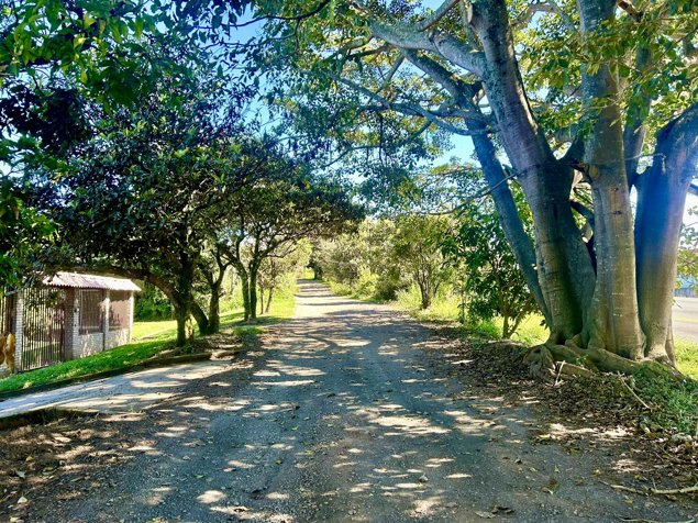VENTA DE LOTE USO MIXTO, HEREDIA, SANTO DOMINGO, SAN MIGUEL in San Miguel, Santo Domingo, Heredia — ₡ 120 000 000